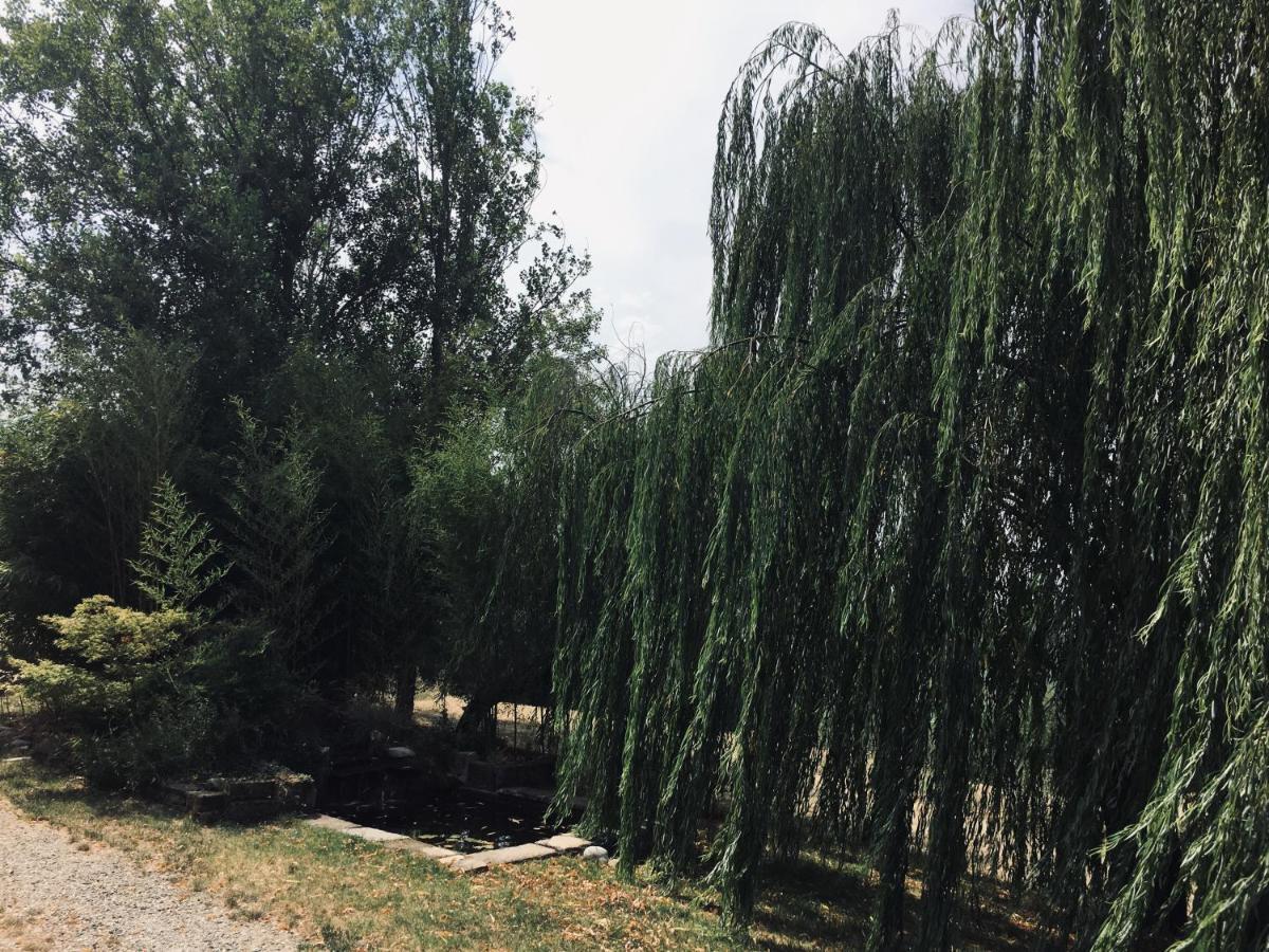 Il Biancospino Villa Casteggio Kültér fotó