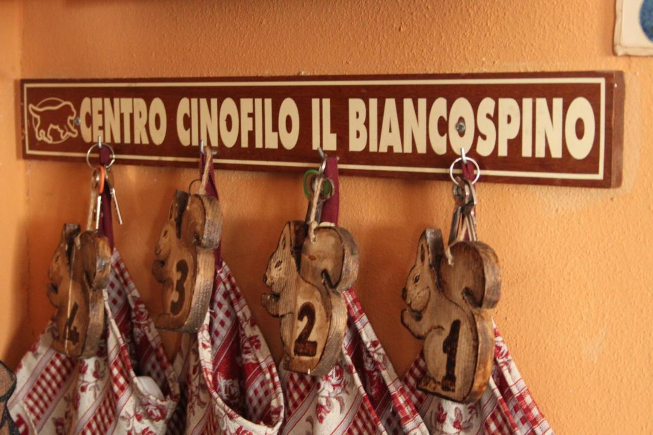 Il Biancospino Villa Casteggio Kültér fotó